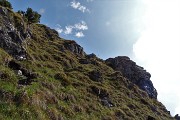 Alla Madonna delle Cime sul Corno Zuccone (1458 m) da Reggetto di Vedeseta il 14 maggio 2017 - FOTOGALLERY